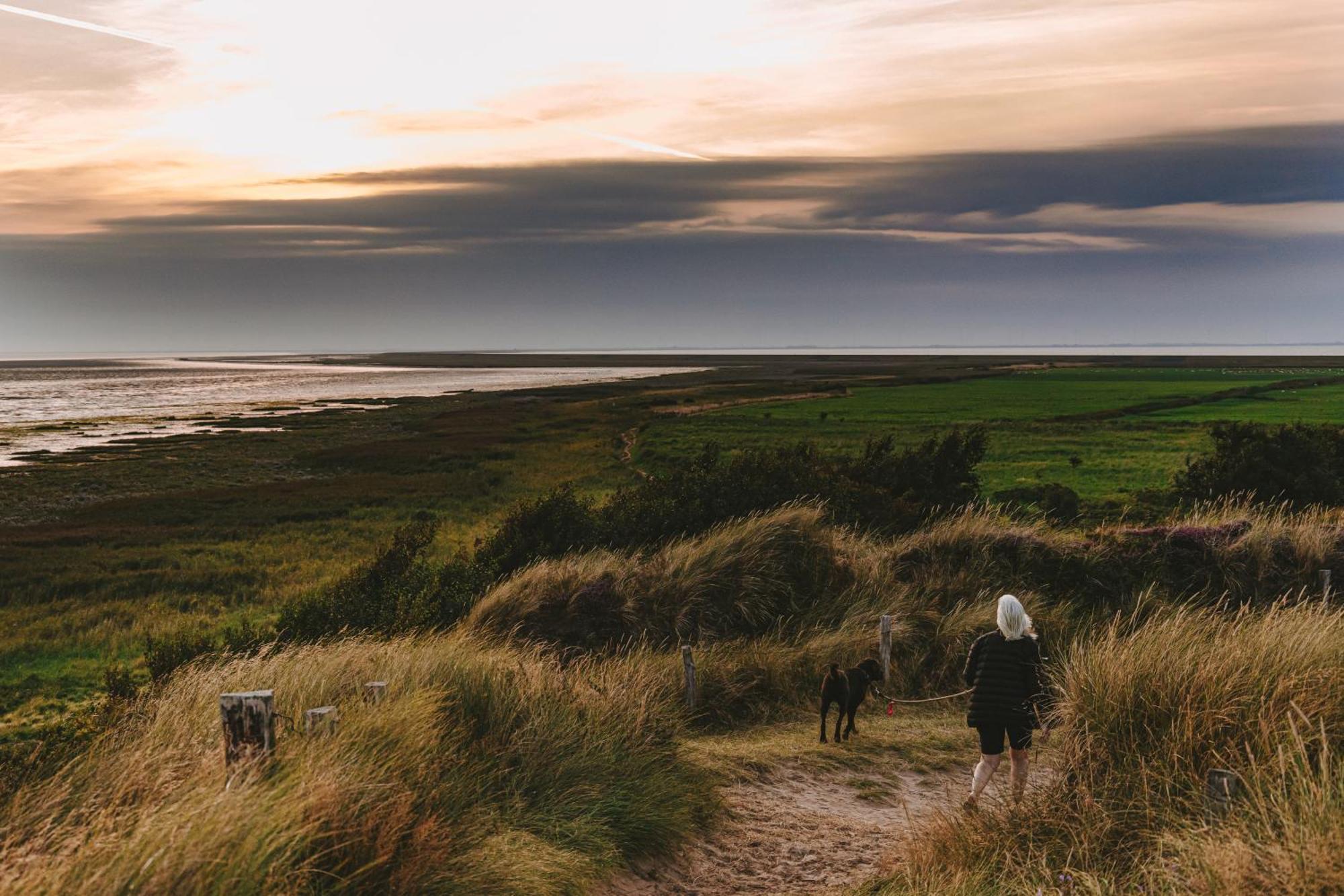 Domo Camp Sylt - Glamping Camp Hotel Eksteriør billede